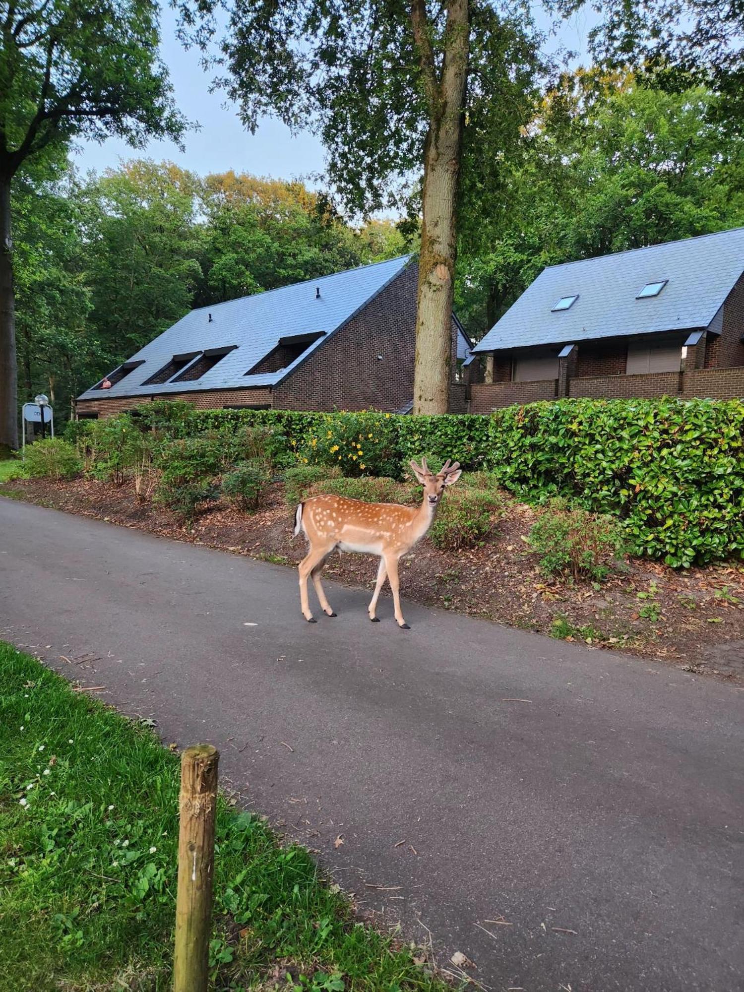 Hengelhoef Berk 5 Villa Aan de Wolfsberg Exterior foto